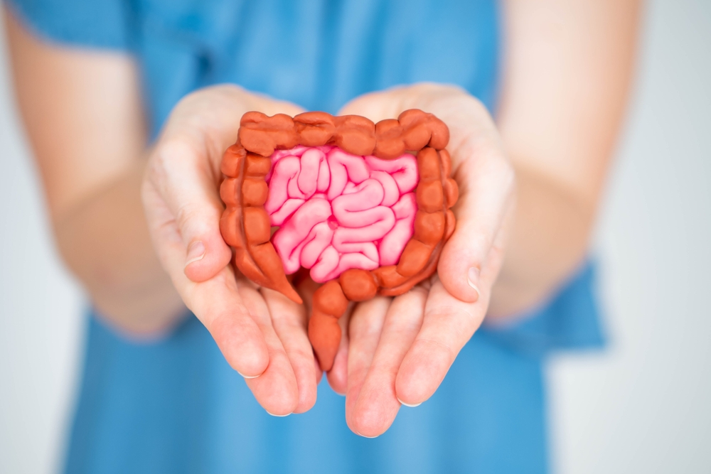 woman,holds,intestines,in,her,palms.,gastrointestinal,tract.,intestinal,tract