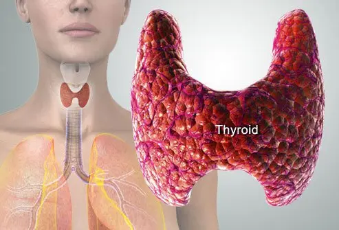 thyroid symptoms and solutions s2